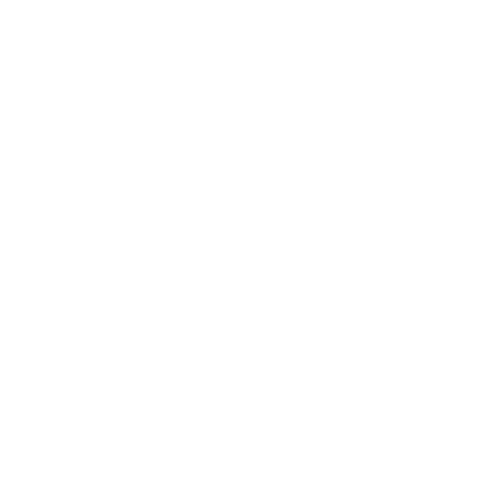 DROMY-2